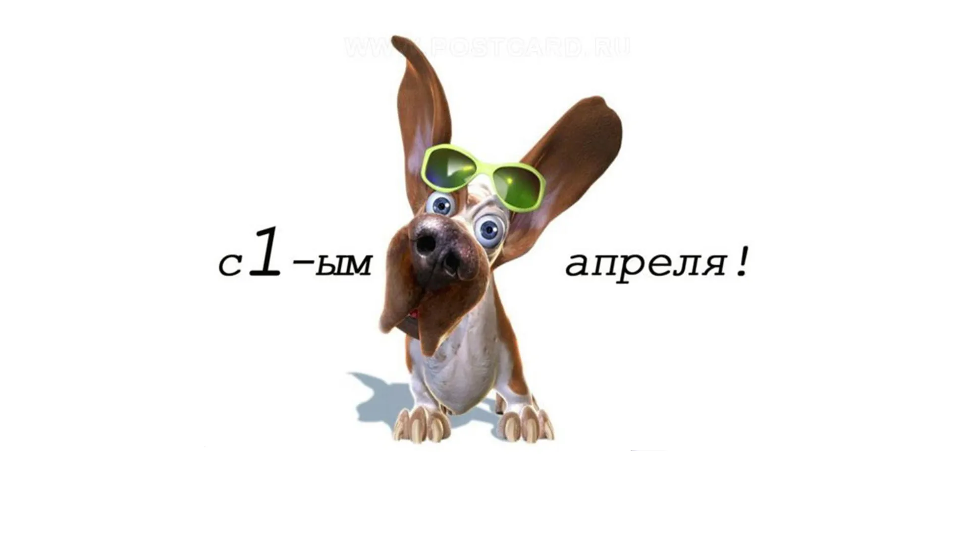 Открытка День смеха - Открытка с щенком на день рождения  Поздравления | Красивая открытка #118
