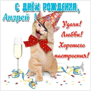 Открытка открытки с именем Андрей - Забавная открытка с котенком на день рождения | Красивая открытка #173