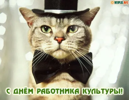 Открытка День работника культуры - Котенок в шляпе и бабочке - открытка с днем работника культуры | Красивая открытка #34