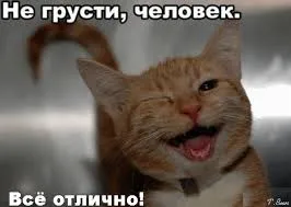 Открытка Открытки не грусти - Рыжий кот смеётся — смешная открытка! | Красивая открытка #74