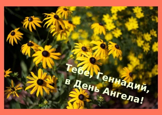 Открытка открытки с именем Геннадий - Открытка: Поле желтых цветов | Красивая открытка #223