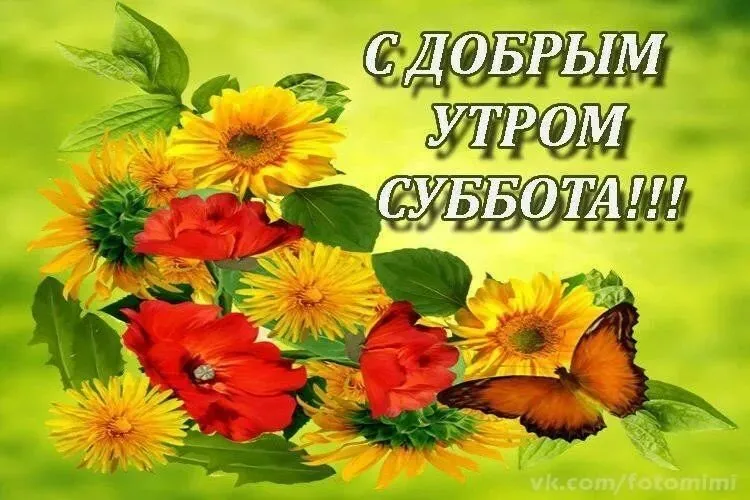 Открытка Открытки на субботу - Открытка: Красные и желтые цветы с бабочкой | Красивая открытка #156