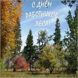Открытка С днём работника леса - Осенний лес: золотые деревья и ели. | Красивая открытка #54