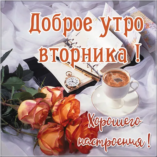 Открытка Доброе утро вторник - Открытка с розами, чашкой кофе и пером | Красивая открытка #2