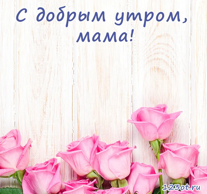 Открытка Доброе утро - Розовые розы на деревянном фоне | Красивая открытка #260
