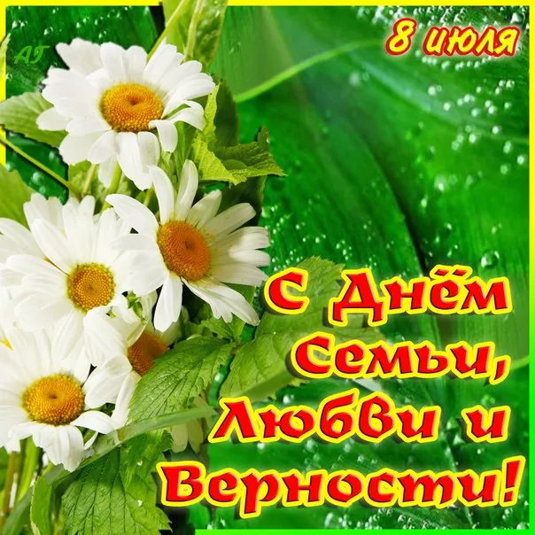 Открытка День семьи - Полевые цветы: открытка с днем семьи, любви и верности | Красивая открытка #58