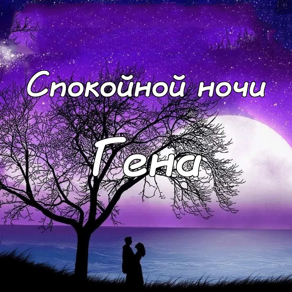 Открытка открытки с именем Геннадий - Открытка: Силуэт пары на фоне луны и ночного неба | Красивая открытка #177