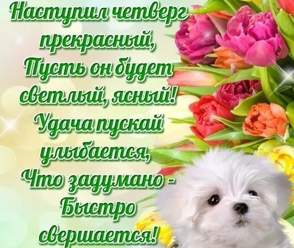 Открытка С четвергом - Открытка с щенком и цветами | Красивая открытка #15