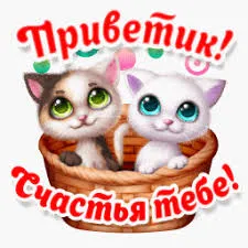 Открытка Открытки желаю счастья - Открытка с котятами в корзинке  Праздничный дизайн | Красивая открытка #100