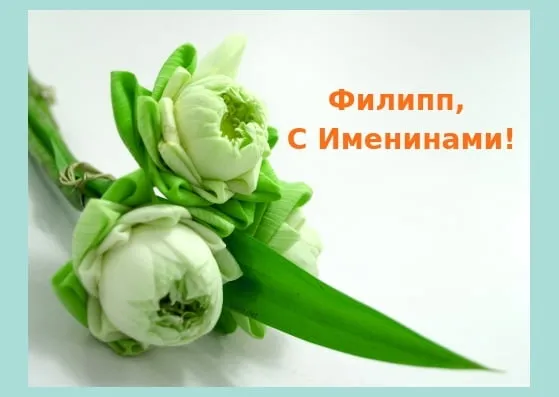 Открытка Открытки с именем Филлип - Нежные бутоны в зелени: поздравительная открытка | Красивая открытка #47