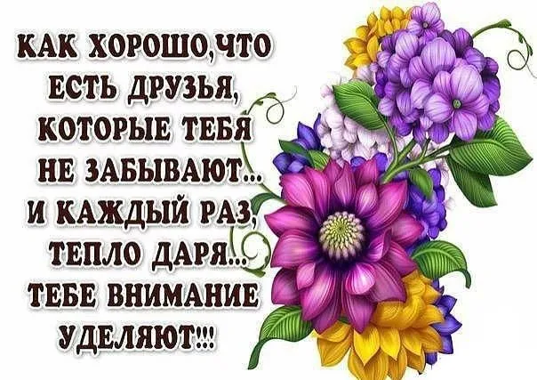 Открытка С пожеланиями другу/подруге - Букет цветов: фиолетовые, сиреневые и желтые цветы. | Красивая открытка #11