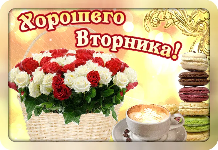 Открытка Удачного вторника - Открытка: Цветы, кофе, макаруны | Красивая открытка #7