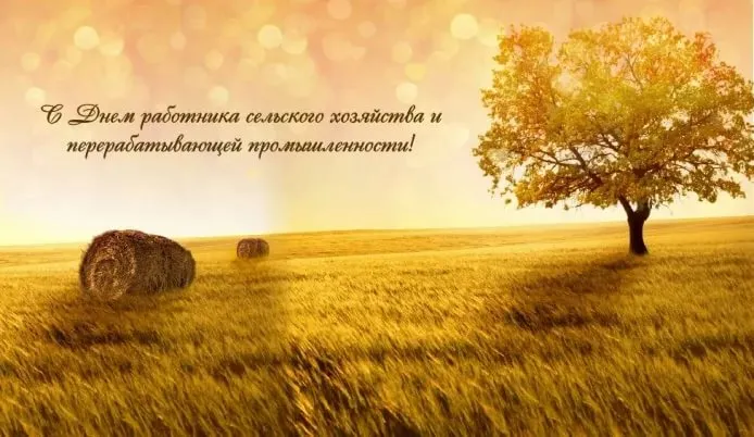 Открытка Открытки на день работников сельского хозяйства и перерабатывающей промышленности  - Пшеничное поле, стога сена, одинокое дерево | Красивая открытка #39