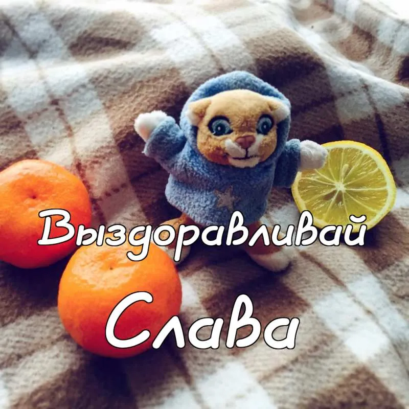 Открытка открытки с именем Вячеслав - Милый плюшевый мишка и апельсины: Открытка с праздничным настроением | Красивая открытка #228