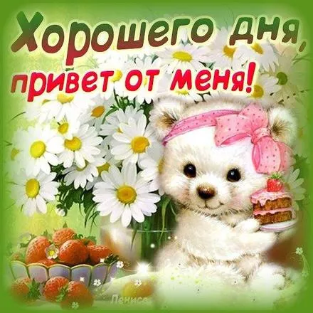 Открытка С ромашками - Открытка с милым медвежонком и клубникой | Красивая открытка #98