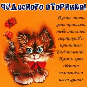 Открытка С вторником - Открытка с рыжим котом и ягодами. | Красивая открытка #16