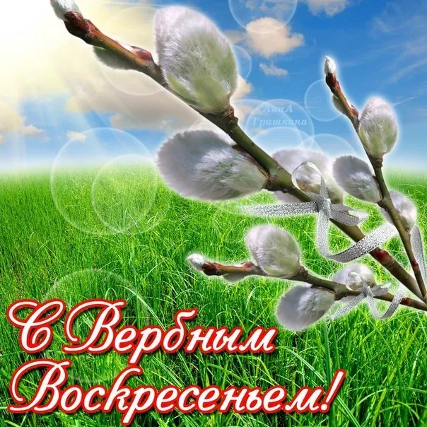 Открытка С вербным воскресеньем - С Вербным воскресеньем! Открытка с вербой | Красивая открытка #106