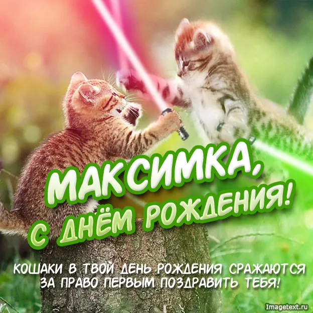 Открытка Открытки с именем Максим  - Два котенка, поздравление с Днём Рождения | Красивая открытка #132