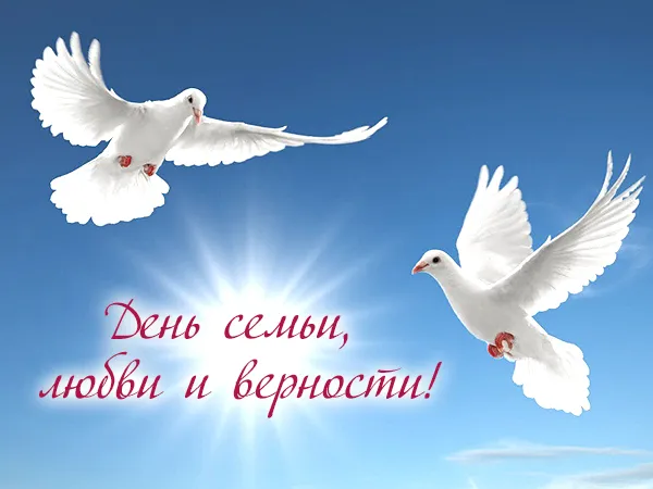 Открытка С днём семьи любви и верности - Открытка: Белые голуби на синем фоне | Красивая открытка #39