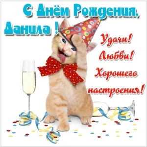 Открытка Открытки с именем Даниил/Данил - Поздравительная открытка: Рыжий кот в колпаке | Красивая открытка #146