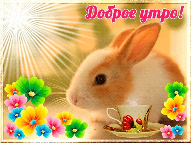 Открытка С зайчиками - Открытка с зайцем и чаем | Красивая открытка #59