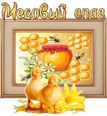 Открытка Открытки с Медовым Спасом - Открытка с утятами и медом: Праздничный дизайн | Красивая открытка #69