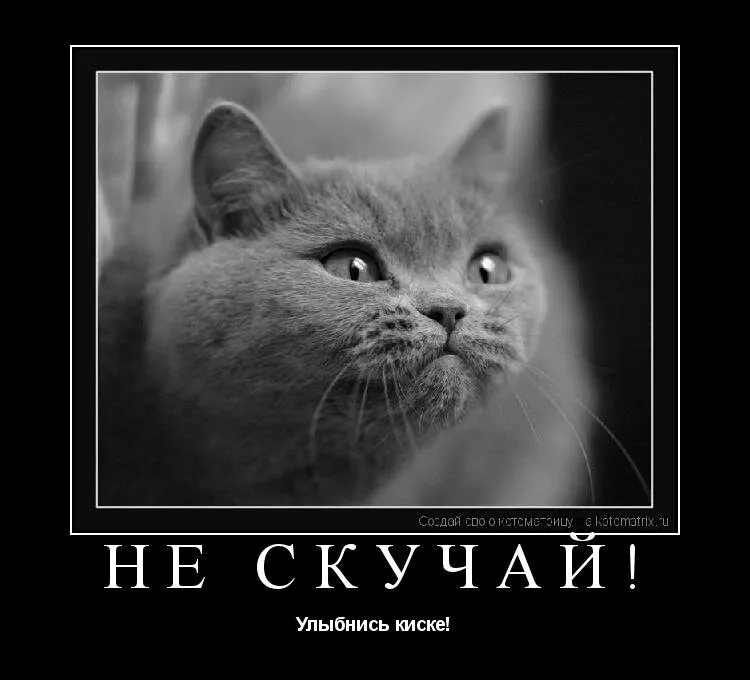 Открытка Открытки не скучай - Не скучай! Открытка с котом. | Красивая открытка #8