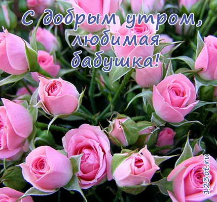 Открытка С розовыми розами - Букет розовых роз: нежные цветы для вас | Красивая открытка #30