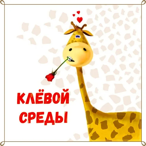 Открытка Открытки на среду - Открытка с милой жирафой и розой | Красивая открытка #135