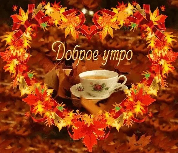 Открытка Открытки с добрым осенним утром - Доброе утро | Красивая открытка #48