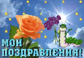 Открытка Открытки поздравляю - Открытка: Роза и гусеница, поздравления! | Красивая открытка #52