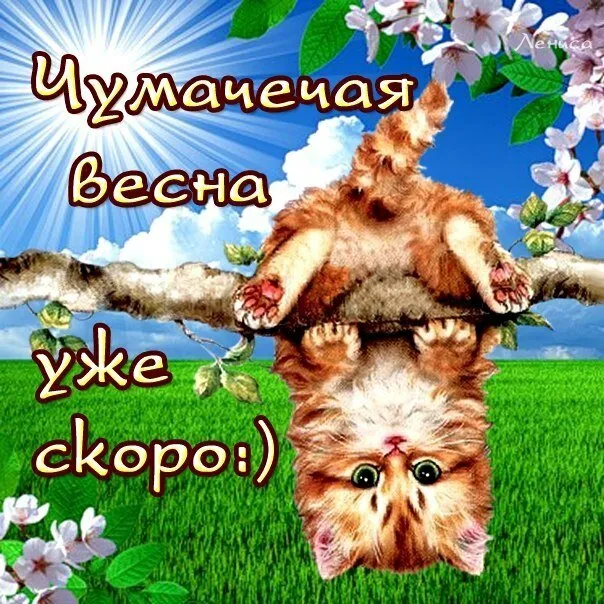 Открытка времена года - Собака на дереве, весенняя открытка | Красивая открытка #6