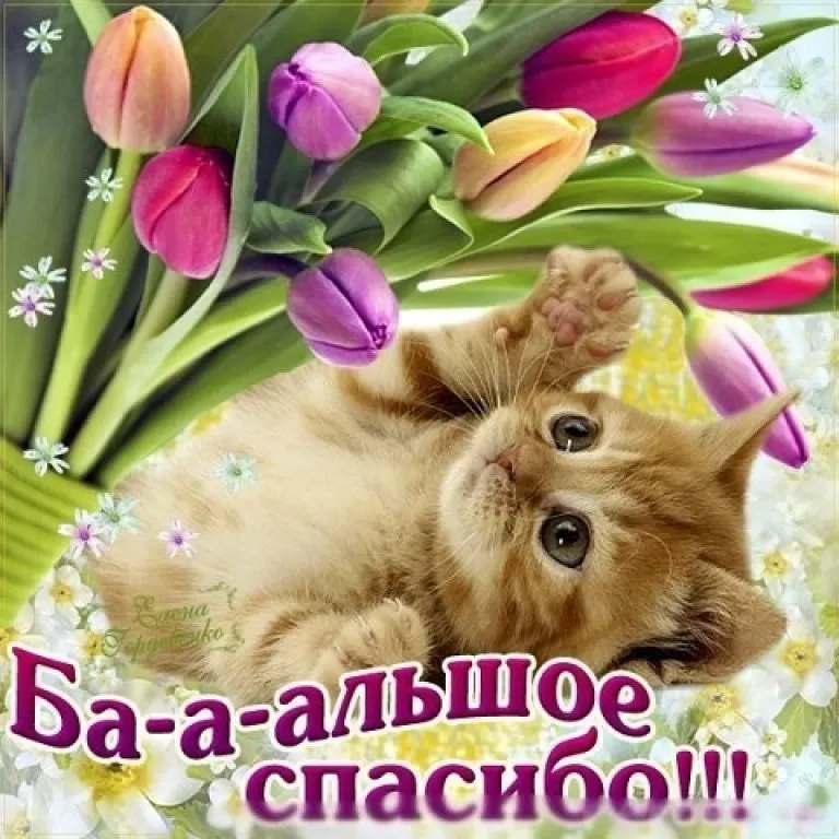 Открытка Спасибо - Открытка с рыжим котенком и тюльпанами | Красивая открытка #191
