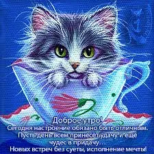 Открытка открытки с добрым утром - Открытка с котенком в чашке: Доброе утро! | Красивая открытка #57