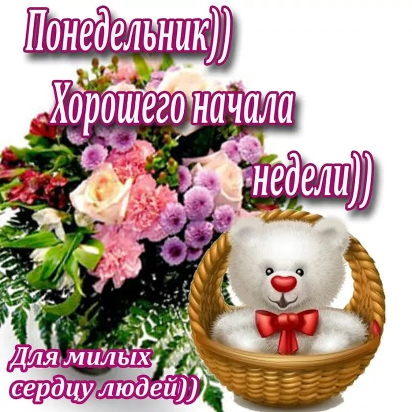 Открытка Понедельник - Открытка с мишкой и цветами | Красивая открытка #15