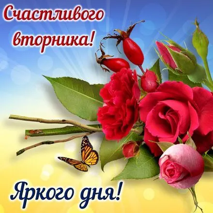 Открытка Удачного вторника - Открытка с розами и бабочкой  С Днем Рождения! | Красивая открытка #30