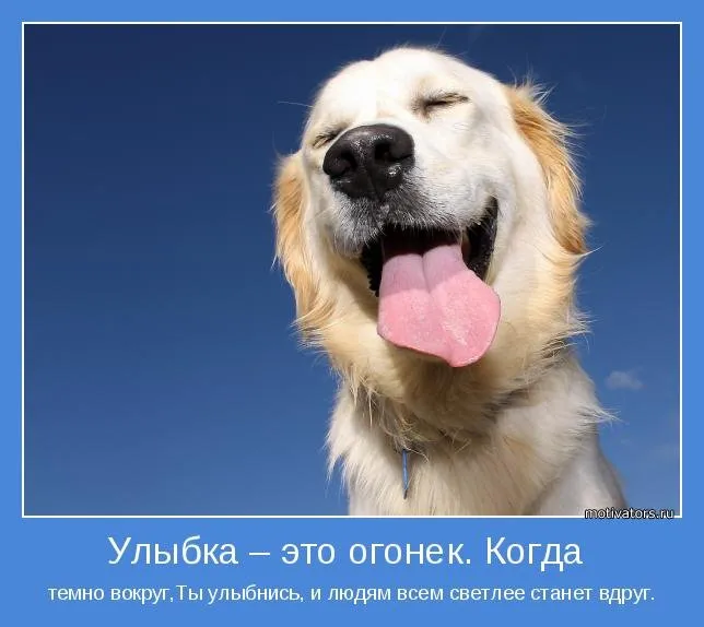 Открытка Улыбнись - Собака с широкой улыбкой: позитивное настроение | Красивая открытка #122