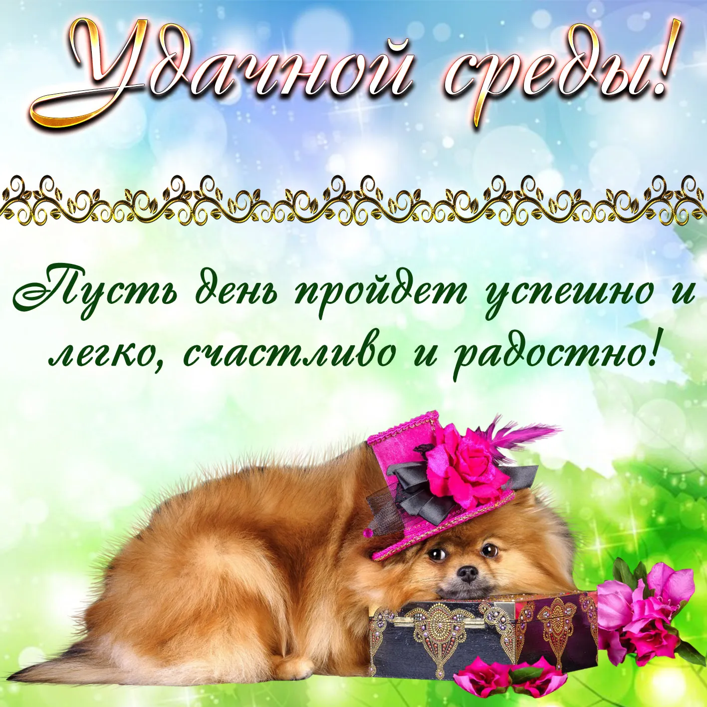Открытка Удачной среды - Открытка с щенком в шляпе и с коробкой | Красивая открытка #1