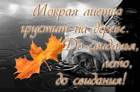 Открытка открытки с первым днем лета  - Черно-белая открытка: лист и роза | Красивая открытка #76