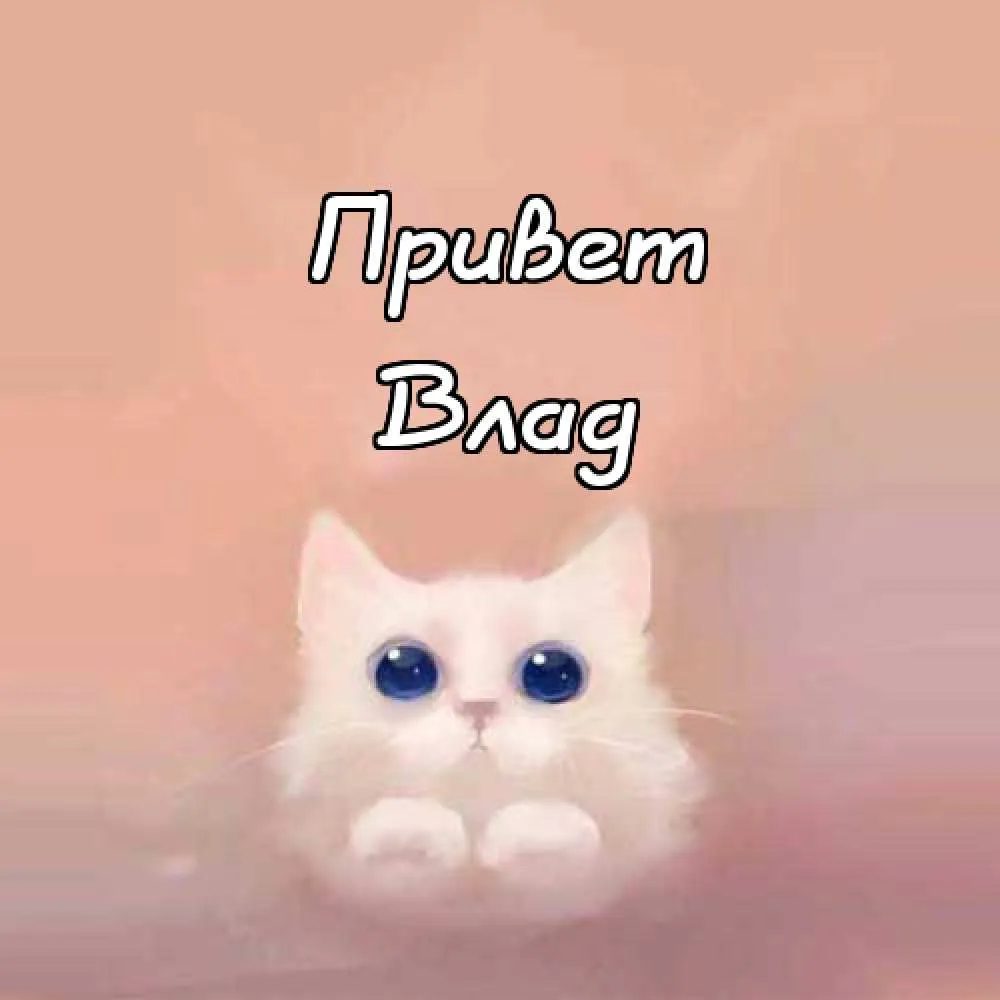 Открытка открытки с именем Владислав  - Открытка с котенком: милый подарок на праздник | Красивая открытка #279