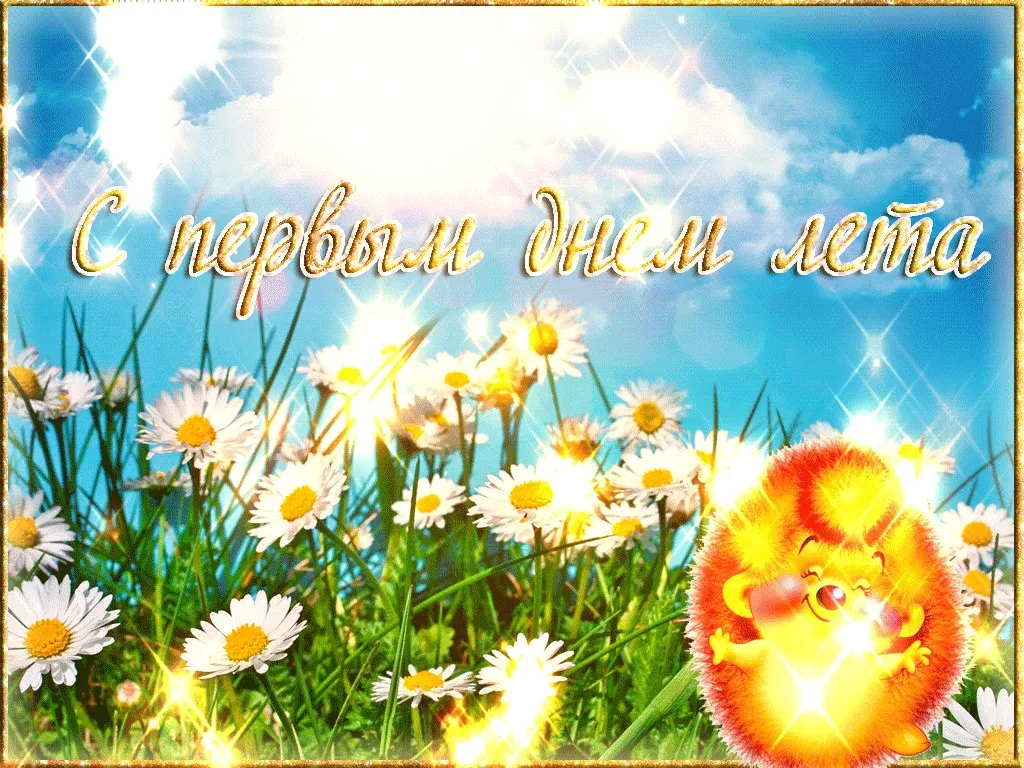 Открытка Первый день лета - Поздравление с Днем Рождения: Ёжик и цветы | Красивая открытка #161