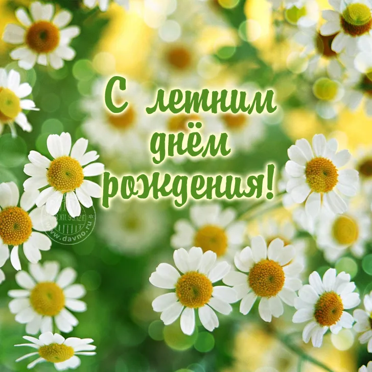 Открытка С ромашками - Открытка с ромашками: С днем рождения! | Красивая открытка #39
