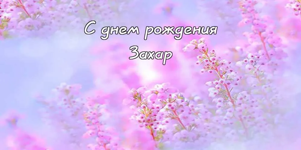 Открытка открытки с именем Захар - Открытка: С днем рождения - нежные цветы на фоне голубого неба. Заказ и покупка. | Красивая открытка #118