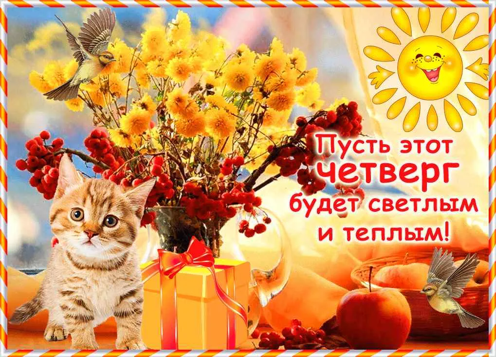 Открытка Удачного четверга - Кот с подарком на осеннем фоне - открытка | Красивая открытка #18