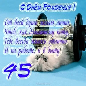 Открытка Открытки на 45 лет - Пышный кот, юбилей: открытка с поздравлением | Красивая открытка #183