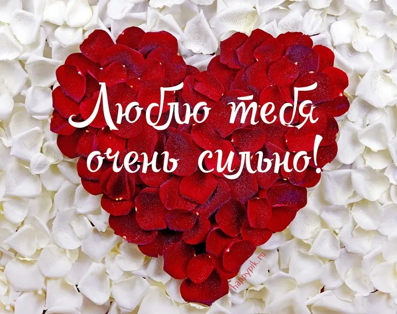 Открытка Я люблю тебя - Открытка: Красная роза из лепестков | Красивая открытка #7