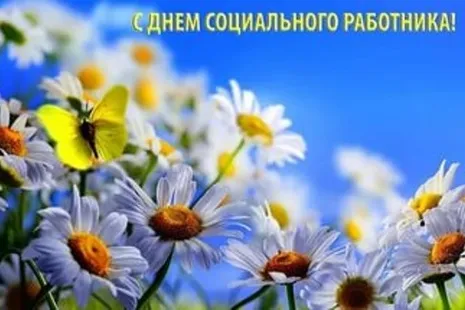 Открытка С днём социального работника - Полевые цветы и бабочка: открытка | Красивая открытка #12