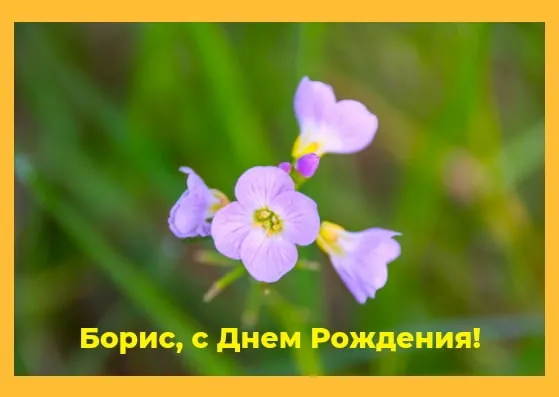 Открытка открытки с именем Борис - Открытка с фиалками: С Днём рождения! | Красивая открытка #185