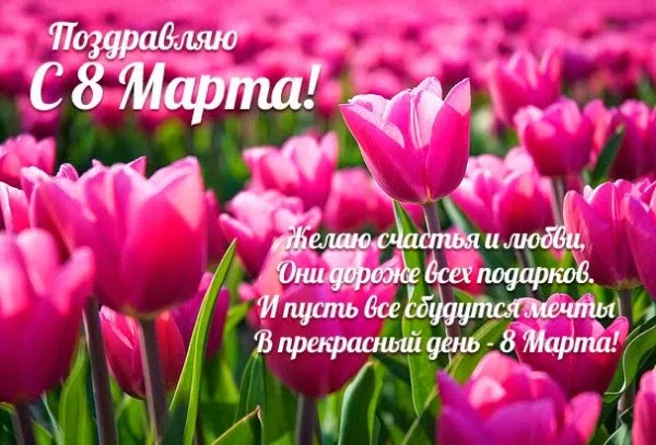Открытка 8 матра - Поздравление с 8 Марта: Букет тюльпанов | Красивая открытка #28