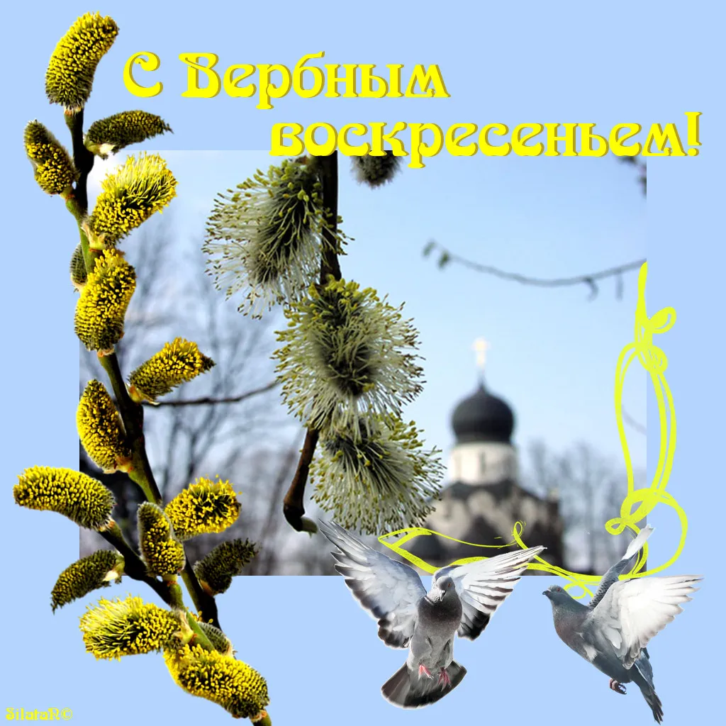 Открытка Вербное Воскресенье - Верба, голуби, церковь, весенняя открытка | Красивая открытка #305